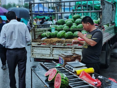 东北早市哪些商品最畅销能赚钱？