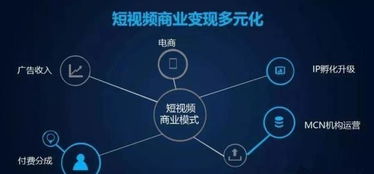 FM平台如何实现高效盈利？你真的了解它的赚钱之道吗？
