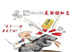前年免费赚钱的热门项目，你错过了吗？