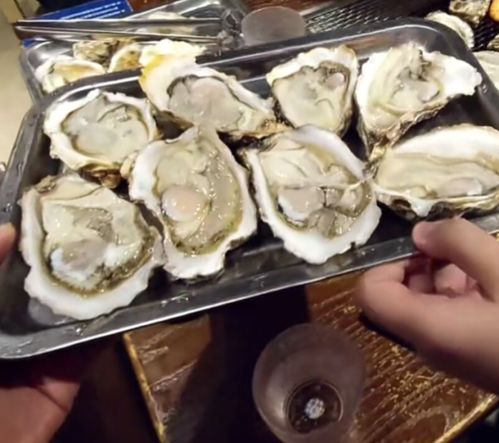 哪里可以找到性价比高的生蚝自助餐团购？揭秘最佳团购平台选择！