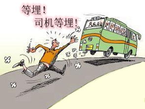 送货司机闲暇时间如何选择合适的副业增加收入？
