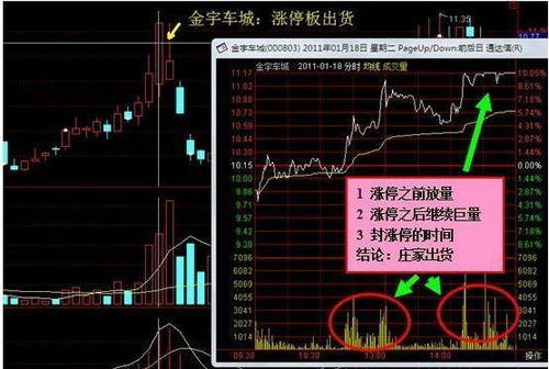 批发市场高效拿货有哪些不为人知的技巧？全解析来了！