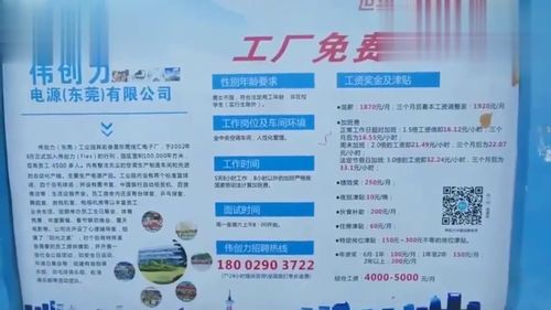 哪里可以找到东莞地区自助餐行业的招聘信息？
