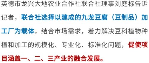 如何高效筹备副业项目？从零开始打造第二收入来源的实用指南