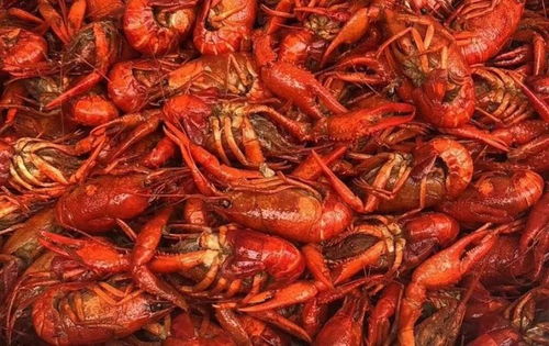 在株洲，哪里可以找到最佳的龙虾自助团购平台？