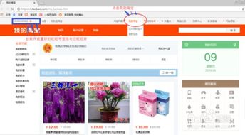 哪里可以找到免费真人自助下单的网站大全？一键探索最佳选择！