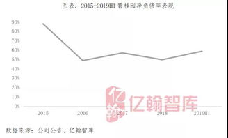 如何在当前市场环境下实现盈利增长？