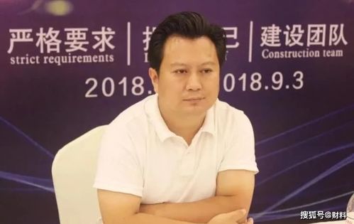 惠飞究竟是哪家公司的高层领导？