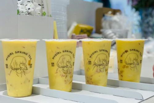 蜜果加盟店的加盟费用究竟是多少，你知道吗？