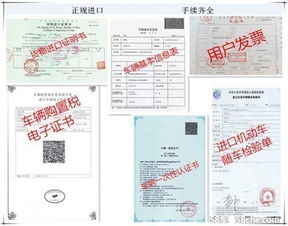 普蕊斯公司待遇如何？工资水平及福利详情探究
