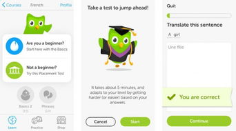 如何找到靠谱的网上接副业APP？避免踩坑指南！