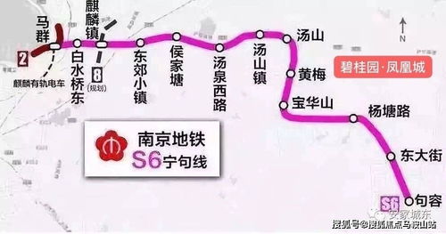 在镇江旅游，如何找到性价比高的自助餐业务？