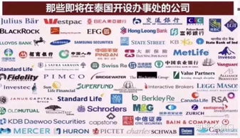 为何这些小投资副业项目值得推荐？揭秘其独特优势
