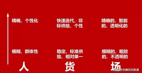 如何利用考证开启副业营销之路？成功秘诀全解析！