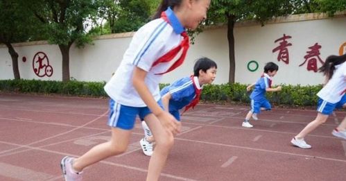 锦城大学教师是否涉足副业？真相究竟如何？