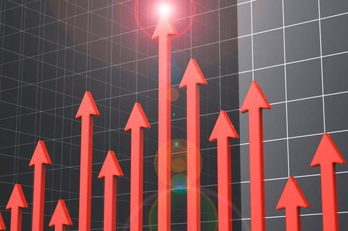 2024年股市风云再起，股民能否把握机遇实现盈利？