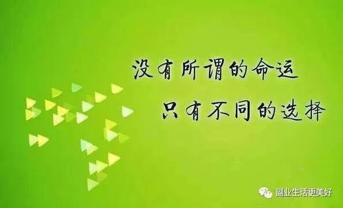 如何用诗句巧妙描绘副业之美？探寻诗意兼职的奥秘