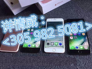 手机壳批发商的微信是多少？一手货源如何找到？