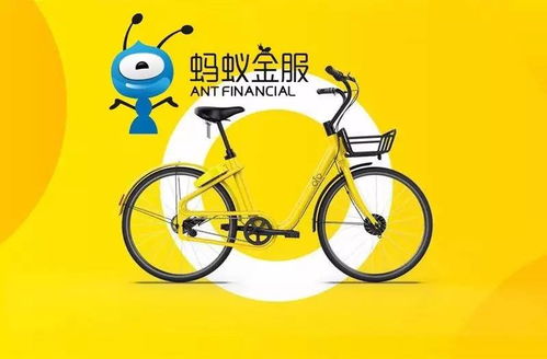 ofo共享单车在天津招募兼职，待遇如何？机会难得错过吗？