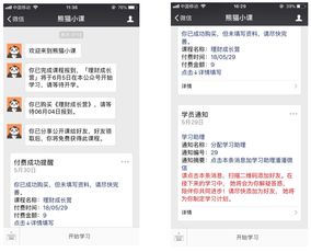 如何在微信社群中高效开展副业交流？