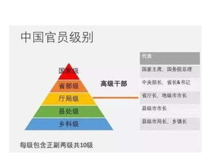 中国电建及其下属单位的行政级别划分标准是什么？它们属于厅级还是副部级？