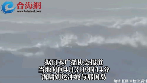 为何我们日复一日地沉迷于追逐财富？