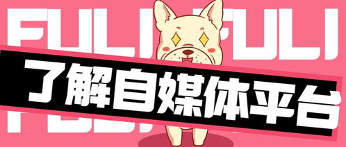 农村养兔副业真的能赚钱吗？新手入门需要注意哪些关键点？