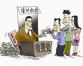 教育培训机构如何拓展副业实现多元化发展？