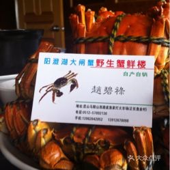 哪些自助螃蟹团购网站值得推荐？精选高性价比的选择指南！