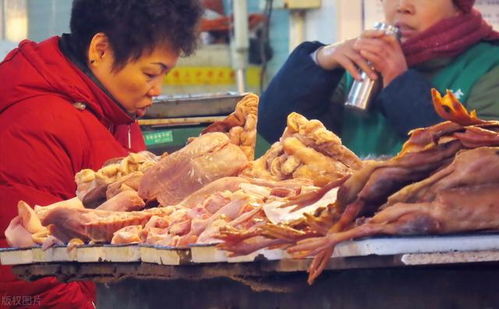 养鸡卖肉真的能盈利吗？揭秘鸡肉生意的赚钱真相