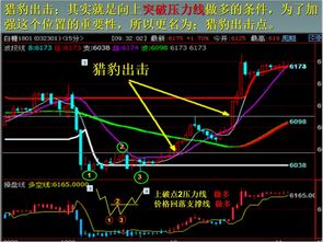 刷服真的能带来可观的收入吗？你了解其中的盈利奥秘吗？