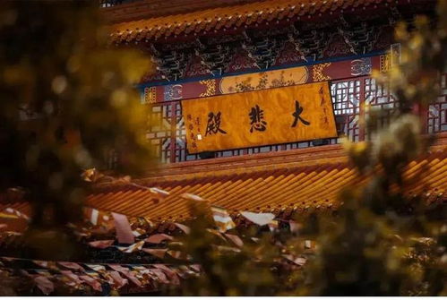 烧香拜佛真的能带来财富吗？探寻信仰与财富的关联