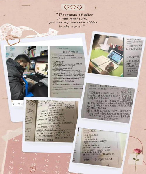 南湾学校小学教育质量如何？家长评价怎样？
