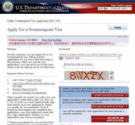多伦多旅行者如何使用海关自助申报网站进行快速通关？