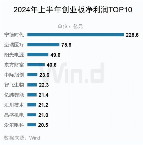 2024年哪家公司将成为全球盈利之王？