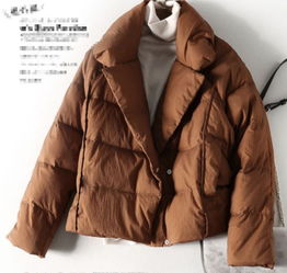 香奈儿微商羽绒服售价如何？高品质时尚选择是否物有所值？