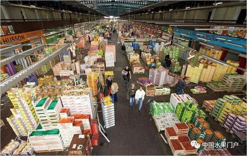 粤西农副业批发市场有哪些独特优势？