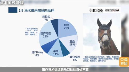 养大鹅真能赚钱吗？投资回报率到底如何？