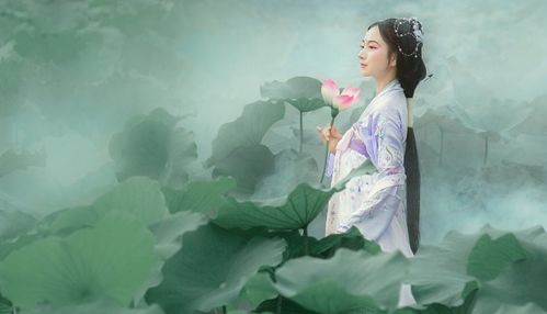 福缘深厚背后隐藏了什么秘密？