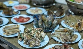 哪些视频网站有最佳海鲜自助推荐？探索高性价比美食指南！