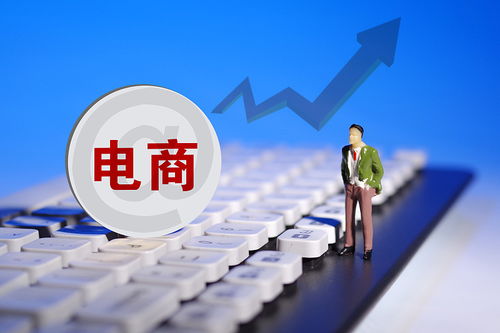 哪些自助电商平台更受欢迎，适合新手创业呢？