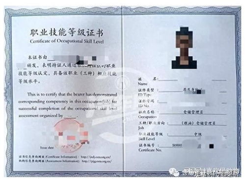 担任仓库管理员需具备何种学历要求？学历门槛揭秘