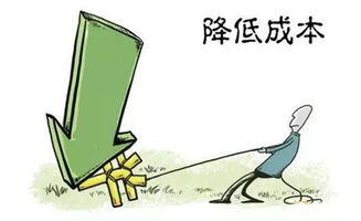 如何选择适合自己的跨境电商副业项目？新手入门必看！