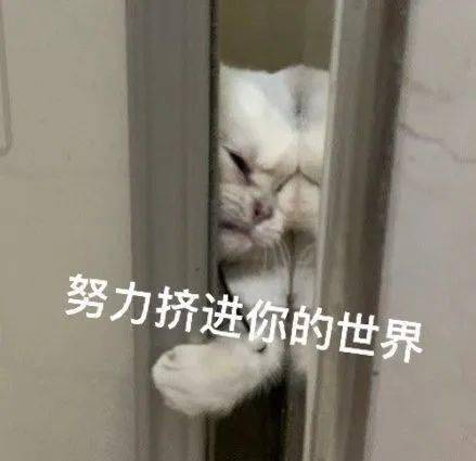 阿兰究竟在忙什么副业？她的第二职业让人好奇！