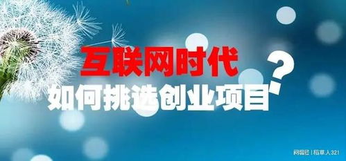 今年最赚钱的项目是哪个？你错过了吗？