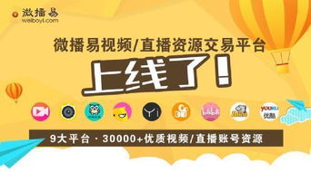 在众多网红服务自助平台中，哪一个才是最佳选择？