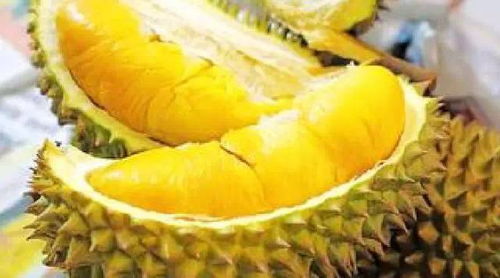 哪里可以找到长沙榴莲自助餐的团购优惠？这家网站帮你解决！