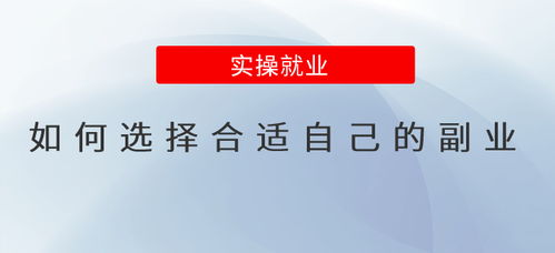 如何选择适合自己的生涯副业？专业测评推荐指南