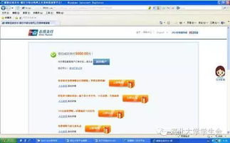 如何使用河北大学自助缴费平台进行便捷缴费？