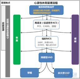 如何高效完成赚钱任务？详解流程及流程图指南